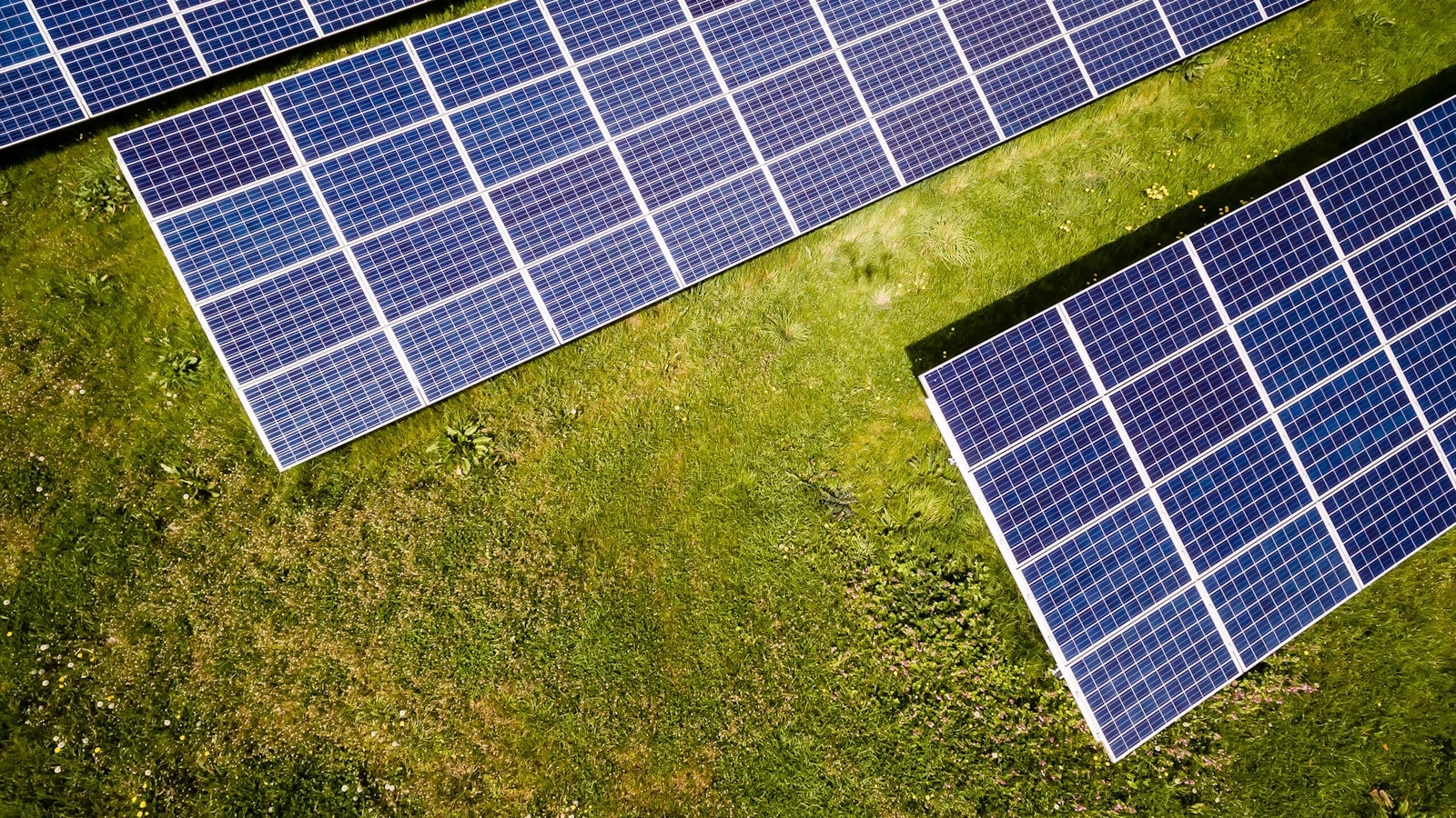 Indian renewable horizon — Sahayog Energy's solar category